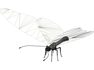 Butterfly 3D Model preview