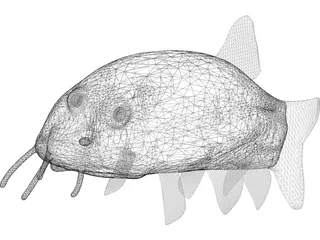 Clownfish 3D Model preview