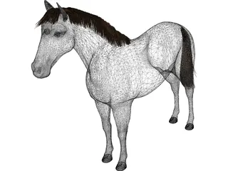 Horse 3D Model preview