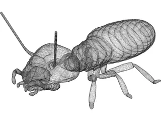 Termite 3D Model preview