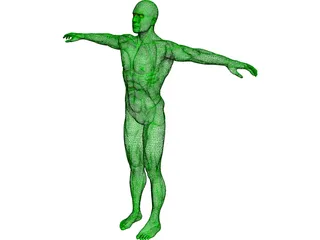 Swimmer 3D Model preview