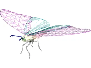 Butterfly 3D Model preview