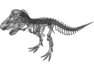 Tyrannosaurus Rex Skeleton 3D Model preview