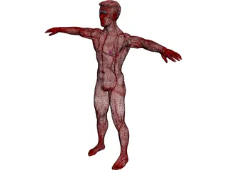 Man 3D Model preview