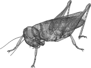 Grasshopper 3D Model preview