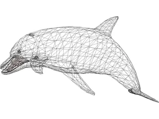 Dolphin 3D Model preview