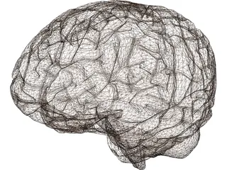 Brain 3D Model preview