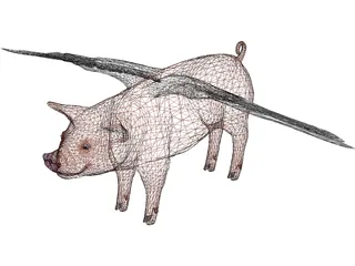 Pigasus 3D Model preview