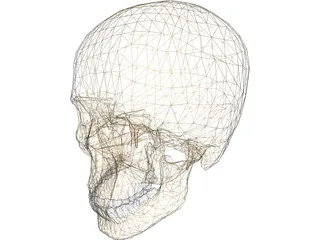Skull 3D Model preview