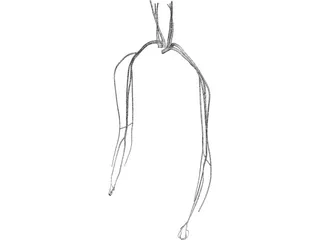 Veins and Arteries Upper 3D Model preview