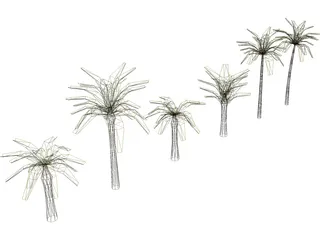 Palm Collection 3D Model preview