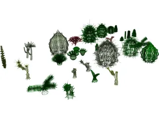 Cactuses Collection 3D Model preview