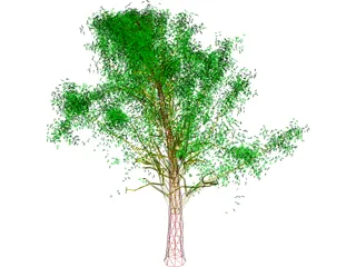 Tree 3D Model preview
