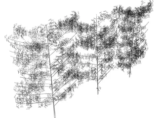 Hedge 3D Model preview