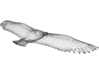 Vulture 3D Model preview