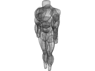 Muscles Body 3D Model preview