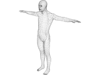 Human Body Male 3D Model preview