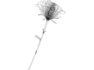 Rose 3D Model preview