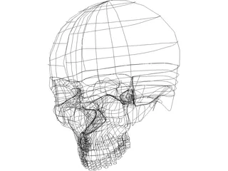 Skull 3D Model preview