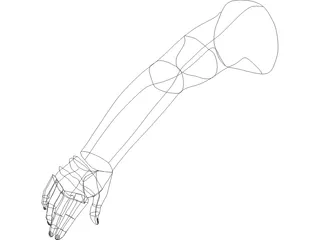 Arm Male 3D Model preview