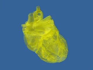 Heart 3D Model preview