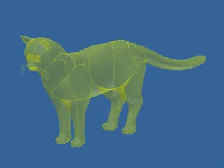 Cat 3D Model preview