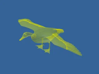 Goose 3D Model preview