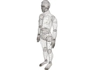 Man 3D Model preview