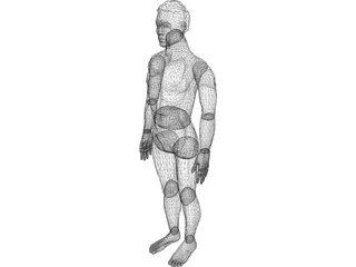 Man 3D Model preview