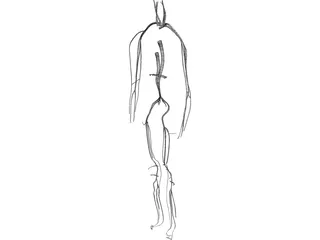 Circulatory System 3D Model preview