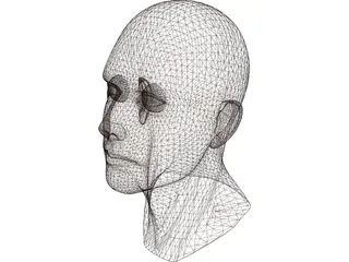 Head Male 3D Model preview