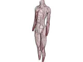 Surface Muscles 3D Model preview