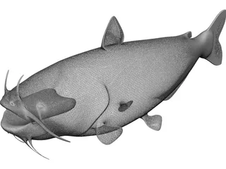 Blue Catfish 3D Model preview