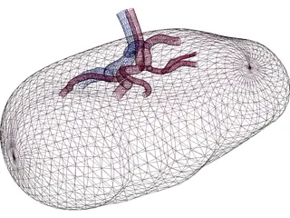 Spleen 3D Model preview
