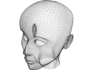 Human Head 3D Model preview