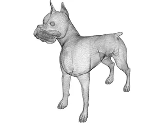 Dog Boxer 3D Model preview