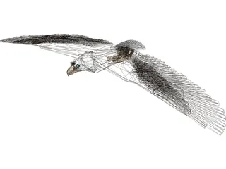 Bald Eagle 3D Model preview