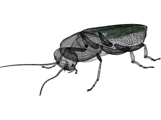 Firebeetle 3D Model preview
