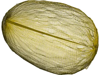 Lemon 3D Model preview
