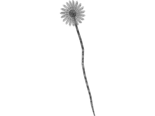 Flower 3D Model preview