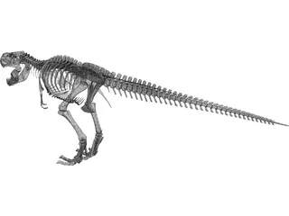 Tyrannosaurus Rex Skeleton 3D Model preview