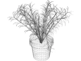 Albero 3D Model preview