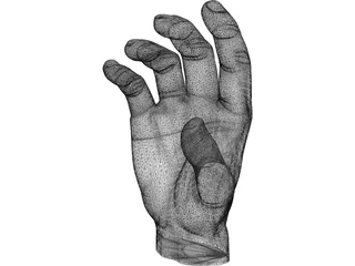Hand 3D Model preview