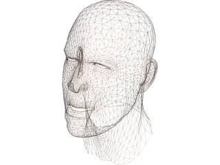 Human Head Face 3D Model preview