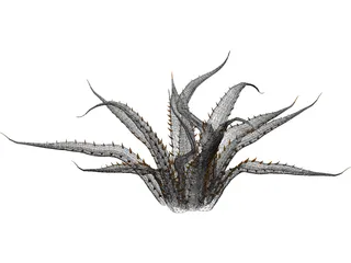 Agave Americana Marginata 3D Model preview