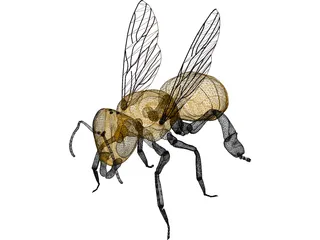 Bee 3D Model preview