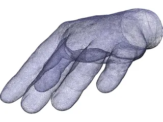Hand Left 3D Model preview