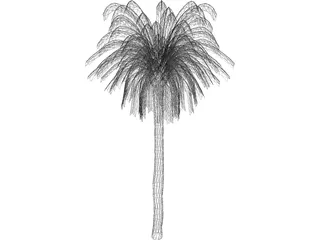 Palm Tree 3D Model preview