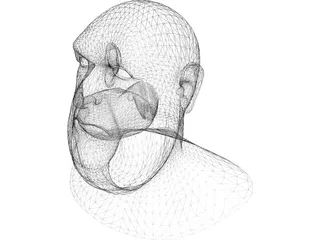 Opera Man Face 3D Model preview
