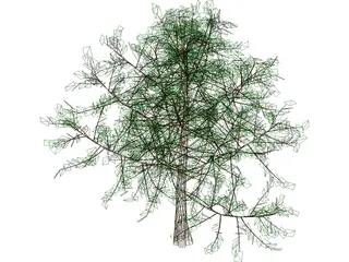 Baum Tree 3D Model preview